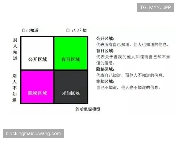佩德里 vs 体系依赖：技术能力与团队影响力的关键差异解析